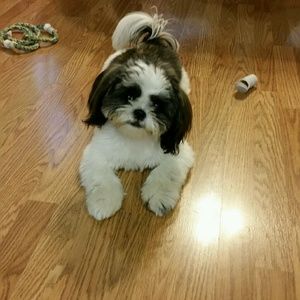 Meet your Posher, Nancy